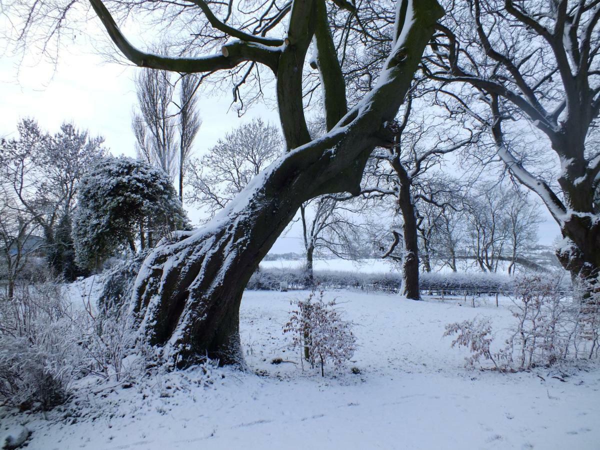 White House Farm Cottages West Haddon Eksteriør bilde